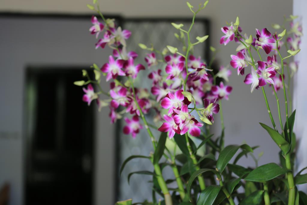 Prasats Boutique Hotel Phnom Penh Dış mekan fotoğraf